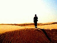 Picture for song 'Tonta' by artist 'Munera'