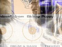 Picture for song 'Bled' by artist 'Murder Is So Mellow'