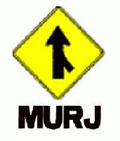 Picture for song 'murj - antimatter' by artist 'murj'