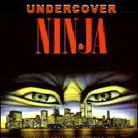 Picture for song 'Undercover Ninja (feat. Bruce Lee)' by artist 'Murpchillious'