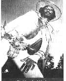 Picture for song 'Blow Fly (A Tribute to Eddie Hazel)' by artist 'Musically Mr M'