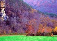 Picture for song 'Nature in Love' by artist 'Musicarian'