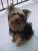 Picture for song 'Barbwire Match' by artist 'mustapha priest'