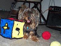 Picture for song 'ctrl-z' by artist 'mustapha priest'