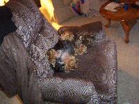 Picture for song 'hypotenuse' by artist 'mustapha priest'