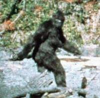 Picture for song 'yeti sauce' by artist 'mustapha priest'