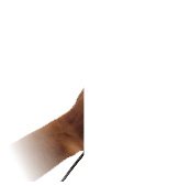 Picture for song 'Freestyle # 2 (part one)' by artist 'Muted Make Quiet'