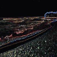 Picture for song 'August' by artist 'Mutual Lines'