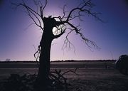 Picture for song '"Are You There?"' by artist 'My Arm Is An Ocean'