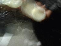 Picture for song '"One Motion"' by artist 'My Arm Is An Ocean'