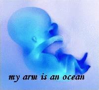 Picture for song '"Stars And Waves"' by artist 'My Arm Is An Ocean'