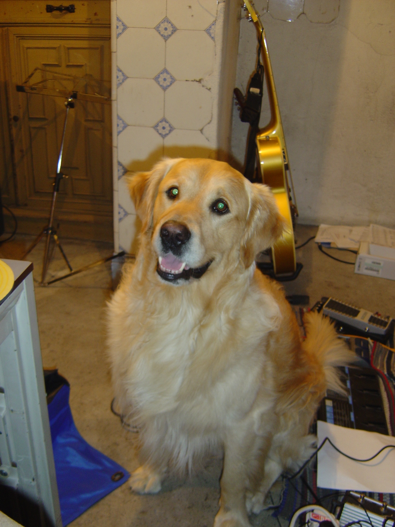 Picture for song 'Zombo' by artist 'My evil twin2'