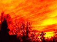 Picture for song 'Dark Clouds' by artist 'My Favorite Illness'