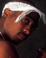 Picture for song 'NYC Freestyle' by artist 'My Name Is Strictly Dope'
