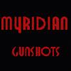 Picture for song 'Gunshots' by artist 'Myridian'