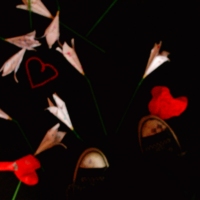 cover pic