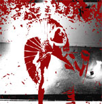 Picture for song 'Front Porch' by artist 'My Sister Kate'