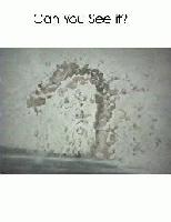 Picture for song 'Sometimes It's Just Not Good' by artist 'My Witness'