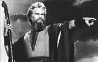 Picture for song 'Torah Man' by artist 'My Witness'