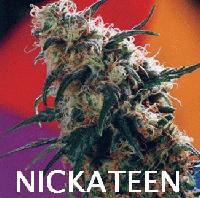 Picture for song 'SkBattle round 2 Nickateen vs. Dkaid' by artist 'N1CKATEEN'