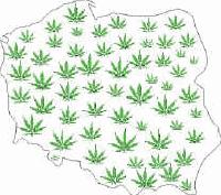 Picture for song 'Drug Deal' by artist 'Naboj'