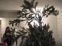 Picture for song 'Kurt' by artist 'Nachmu'