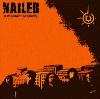 Picture for song 'Clarity' by artist 'NAILED'