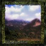 Picture for song 'Fields of Twilight' by artist 'na-koja-abad'