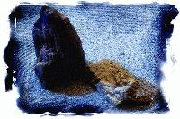 Picture for song 'My Darkest (Remix)' by artist 'NamasteAB'