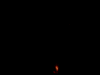 Picture for song 'Zodiak Killer' by artist 'NAMEBRAND'
