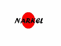 Picture for song 'whats ya credentials? *feat. Nimrod*' by artist 'Narkel'