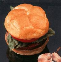 Picture for song 'return of low budget flamenco' by artist 'nathan and phil'