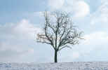 Picture for song 'Unattached' by artist 'Nathan Shaw'