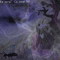 Picture for song 'Lyrical Wars' by artist 'Natural Causes'