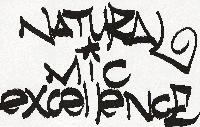 Picture for song 'War (AFL REMIX)F/ Seup One, Blade Whyte, Tay Gully' by artist 'Natural Mic Excellence'