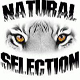 Picture for song 'Lord Ave Mercy' by artist 'Natural Selection (Roc City)'