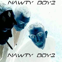 Picture for song 'Speed Of Light !!nu skool breaks!!' by artist 'nawty boyz'