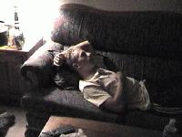 Picture for song 'stuck again' by artist 'Nebuchadnezzer'