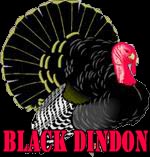 Picture for song 'Black Dindons - Jazzy Dindon - (Instrumental)' by artist 'Neckshot'