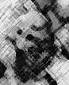 Picture for song 'Bliss' by artist 'Necroanal'