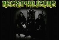 Picture for song 'Dead girls don't say no' by artist 'Necrophilicons'