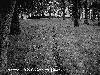 Picture for song 'Where The Sun Lies In Shade' by artist 'Necrotic'