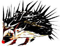 Picture for song 'over the rain' by artist 'needle rat'