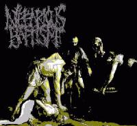 Picture for song 'Terminating the Jesus Fetus' by artist 'Nefarious Baptism'