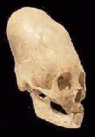 Picture for song 'f***ing freak don't you sleep' by artist 'nemir'