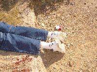 Picture for song 'Sea' by artist 'nemir'