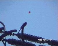 Picture for song 'das snitzel' by artist 'nemo k'