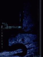 Picture for song 'Feels Like Midnight' by artist 'Neo RJ'