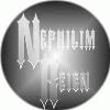 Picture for song 'From the Skies' by artist 'Nephilim Reign'