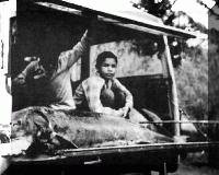 Picture for song 'Janice' by artist 'Nevski'